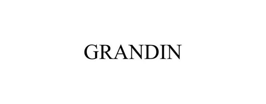 Telecommande Grandin : telecommande tv de remplacement Grandin